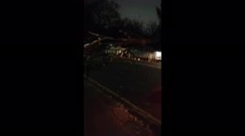 Four cars smashed by huge fallen tree in London due to Storm Arwen