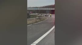 Traffic brought to halt on motorway after herd of COWS decided to walk down M62