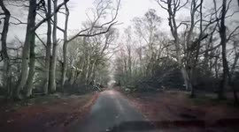 Storm Arwen Aftermath Scottish Borders Broken Fallen Trees Clearing Roads of Fallen Trees
