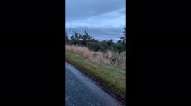 Storm Arwen A697 trees destroyed in massive storm Scottish Borders