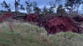 Storm Arwen massive damage A697 Scottish Borders crazy storm 2021