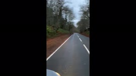 Storm Arwen forest Seriously damaged A697 Scottish Borders