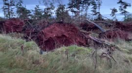 Storm Arwen batters trees and roads on the A697 Scottish borders