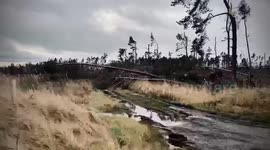 Aftermath Storm Arwen Huge Loss of Forest and Trees Scottish Borders