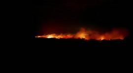 Large fire breaks out on Studland Heath Nature Reserve
