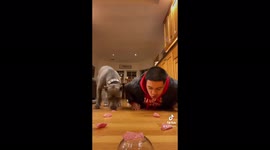 Pet owner takes on his pit bull at hilarious speed eating challenge