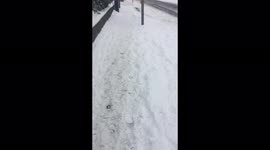 Snow Storm Aftermath