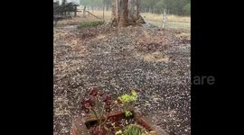 Hail and heavy rain pummel Melbourne, Australia