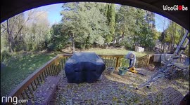 'Off-duty fireman KNOCKED OUT COLD following SPINE-CHILLING fall off a ladder '