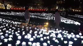 Tranquil and beautiful