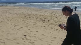 Wildlife rescue! Saving a Terrapin in South Africa