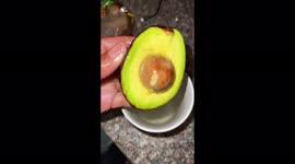 Woman shares simple ‘must try’ tip for keeping avocados fresh and says it saves her £62 a month