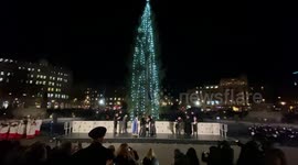 Trafalgar Square's much-mocked Christmas tree lights up
