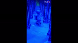 Young boy attempts to run through mirror maze and instantly regrets it