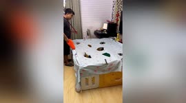 Father plays DIY Whac-A-Mole game with son in northern China
