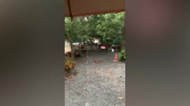 River overflows after heavy rain causes floods in southern Thailand