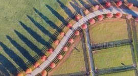 Beautiful drone footage of tree-lined NY roads and geometric fields