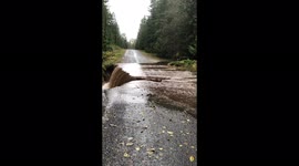 Heavy rain leads to dramatic road collapse near Vancouver
