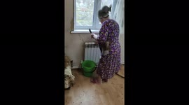 Playful squirrels run around people