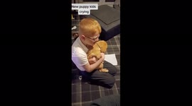 Adorable 9-year-old cries when early Christmas present of new puppy arrives in a box