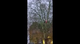 Santa and his elves highline and abseil down town hall (portrait version)