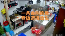 Restaurant owner releases fish that 'cries' like a child in eastern China