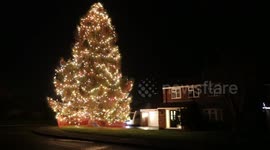 Christmas tree more than 50ft tall after couple plants it in their garden in 1978