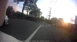 WTF MOMENT: Massive lorry hits a tree while trying to get unstuck (Dashcam Video)