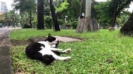 Joggers run through park in Bangkok, Thailand