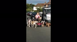 Lady on electric scooter rides with escort of 13 dogs