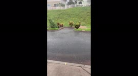 US: Warning Issued As Kona Storm Continues To Bring Torrential Rain To Oahu, Hawaii