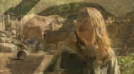 Meet a Litter of Four Adorable Red River Hog Piglets