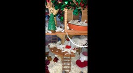 Greedy little hamster gets new Christmas-themed home
