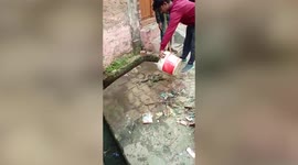 Medical worker rescues trio of monkeys electrocuted in northern India