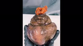 Fisherman finds bizarre ‘HARRY POTTER’ sea creature