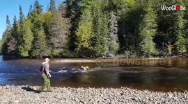 'Rider trying to cross a river on his ATV ends up falling into it instead '
