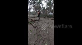 The impact of the eruption of Mount Semeru, rice fields and trees were destroyed in East Java