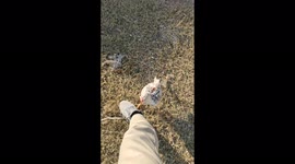 Angry chick don't like my shoes i think