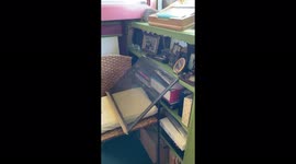 Billy the Squirrel Has His Own Special Way to Enter the House