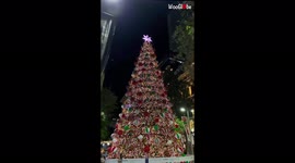 Towering Christmas tree in Sydney, Australia puts on a dazzling light show