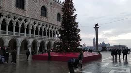 arbol de navidad enfrente del palacio ducal, en san marcos, venecia