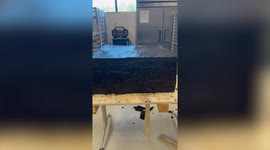 A company have made the world's biggest cannabis brownie