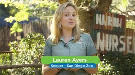 Be a Fly on the Wall During Feeding Time for These Cute, Hoofed Baby Animals