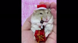 Adorable little hamster is a Christmas mood