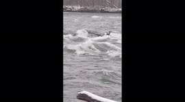 Woman dies after car ends up on edge of Niagara Falls