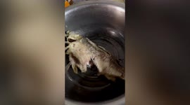 Cooked fish appears to come back to life as it relentlessly twitches