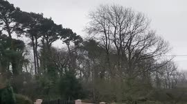 Storm Barra brings severe winds to Cork, Ireland