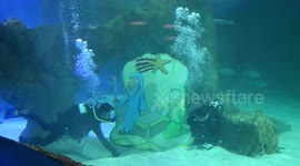 Divers install Christmas nativity scene in shark tank at Madrid aquarium