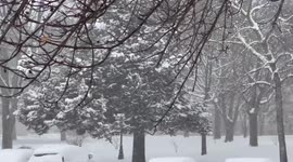 Watch as US winter storms dump half a foot of snow in South Dakota