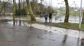 Perro disfrutando en un parque inundado por los efectos de la borrasca Barra